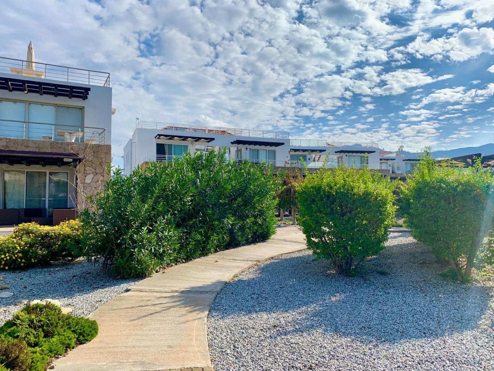 Boho Bay Apartment Akanthou Екстер'єр фото