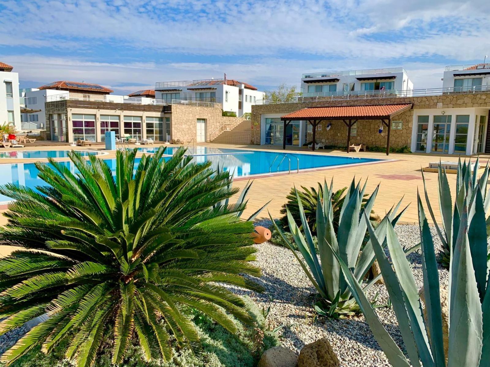 Boho Bay Apartment Akanthou Екстер'єр фото