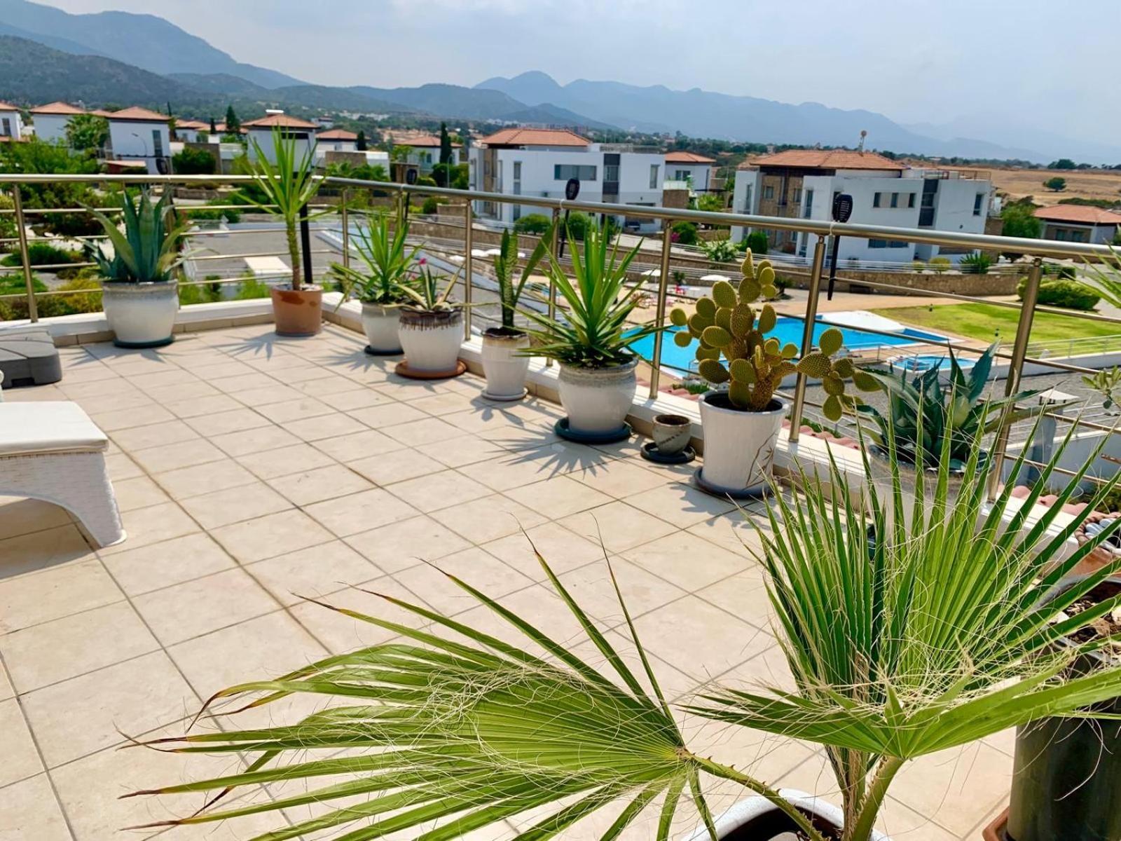 Boho Bay Apartment Akanthou Екстер'єр фото