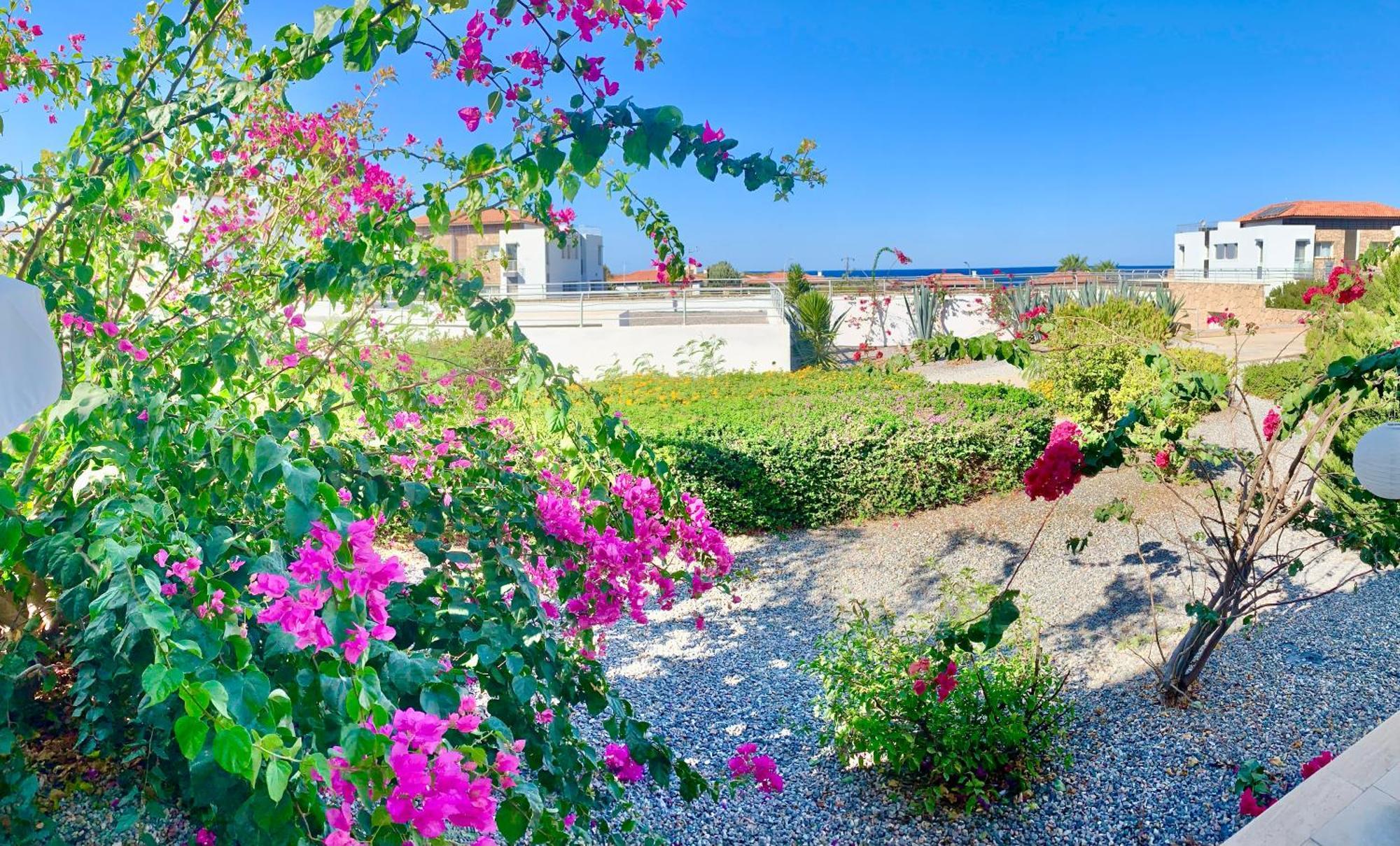 Boho Bay Apartment Akanthou Екстер'єр фото