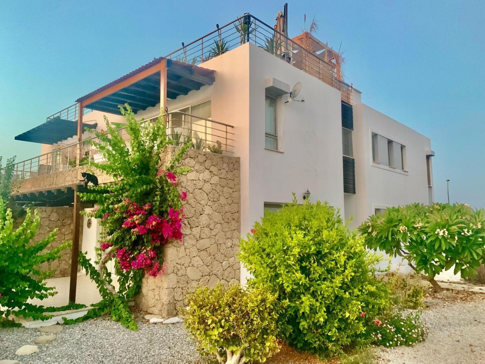 Boho Bay Apartment Akanthou Екстер'єр фото